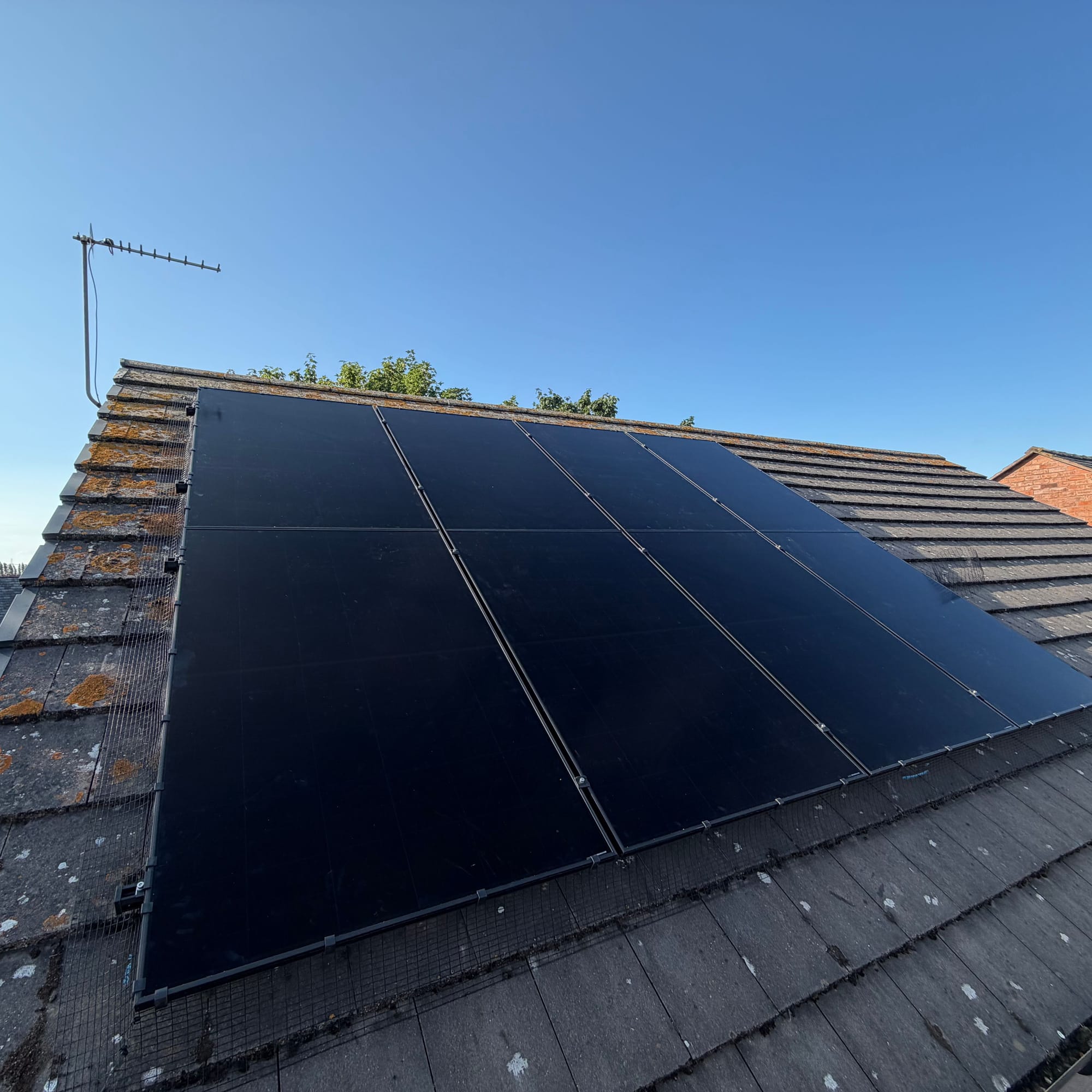 Black panels on a weathered tile roof, bird mesh tucked in all along the edge of the array